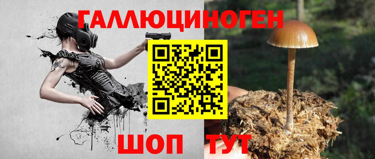 Псилоцибиновые грибы прущие грибы Беслан