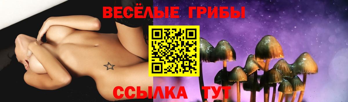 Псилоцибиновые грибы Cubensis  Вход с VPN  Беслан  Псилоцибиновые грибы Psilocybine cubensis 