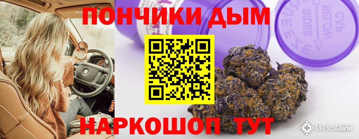 Каннабис сатива  Каннабис сатива  Беслан  Марихуана MAZAR 