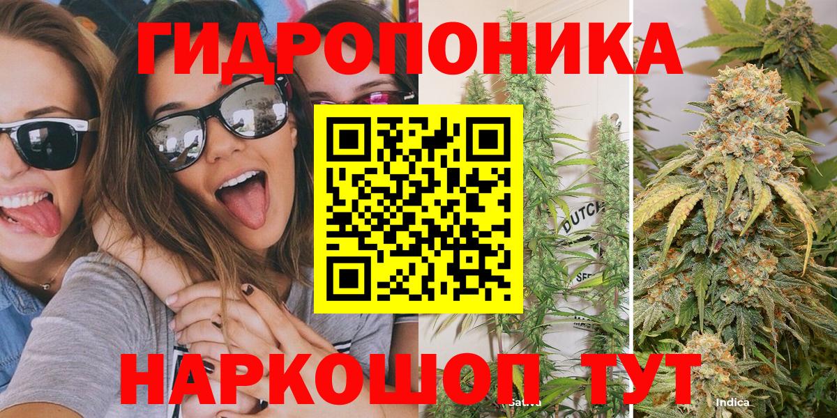 Марихуана сатива Беслан
